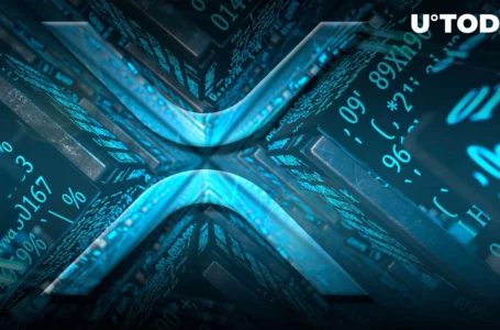 XRP Centralization Controversy Explodes: Here’s Latest
