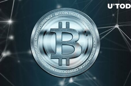 Here’s What Keeps Bitcoin (BTC) From Crashing Right Now