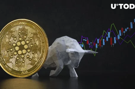 Cardano (ADA) Is More Bullish Than You Think, Data Shows