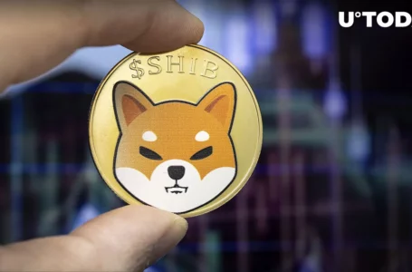 14 Trillion Shiba Inu (SHIB) Might Be at Risk as Price Falls: Details