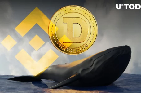 Whale Sends 300 Million DOGE to Binance, Price Down 6%