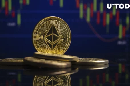 Ethereum (ETH) Hits New All-Time Record After ‘Dip for Ants’