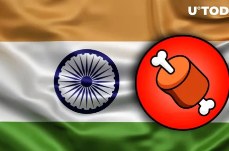 Shiba Inu’s BONE to Be Listed on This Indian Crypto Exchange: Details
