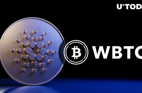 Cardano: Wrapped BTC Platform Announces New Era Powered by Cardano