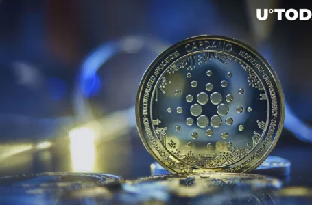 Cardano (ADA) Releases Massive Update: Node 8.0.0