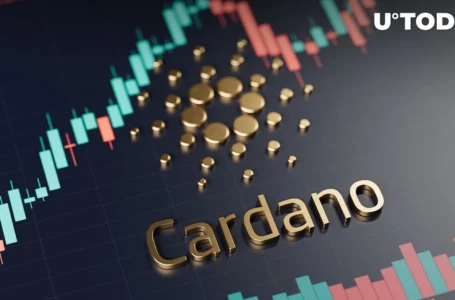 Cardano (ADA) Investors Lose Big as 80% Out of Money