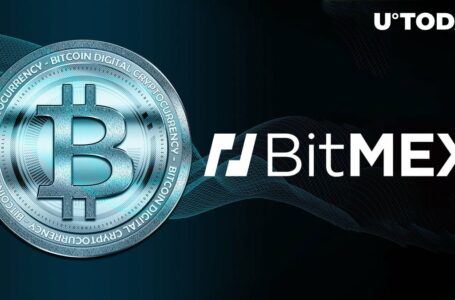 Bitcoin (BTC) Heavily Shorted on BitMEX, Here’s Where This Might Lead