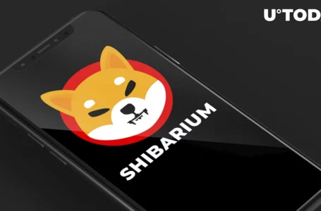 Shiba Inu’s Shibarium Unveils New Updates for SHIB Community