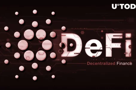 Cardano-Based DeFi Protocol Suffers Discord Server Hack
