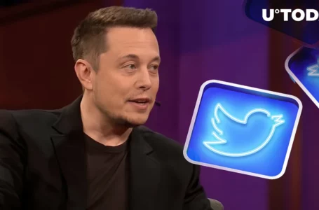Sparkling New Meme Coin Soars 9,800% Following Elon Musk’s Tweet