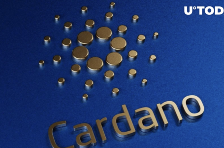 Cardano Outperforms Ethereum in Recent Crypto Development Activity