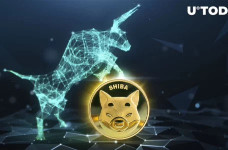 Shiba Inu Caught up in 285 Trillion SHIB Resistance, Will Bulls Save the Day?