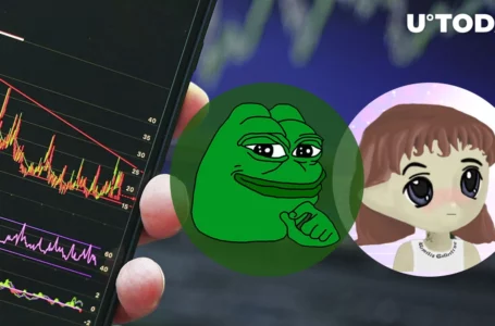 PEPE Rival LADYS on Track for Potential Price Slump, Here’s Reason