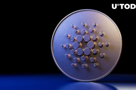 Cardano (ADA) Social Engagements Skyrocket to 457 Million, Here Might Be Reason