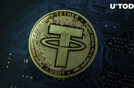 Here’s How Much Tether Holds in Gold