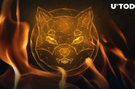 Shiba Inu (SHIB) Daily Burn Rate Ramps Up With Millions of Tokens Burned