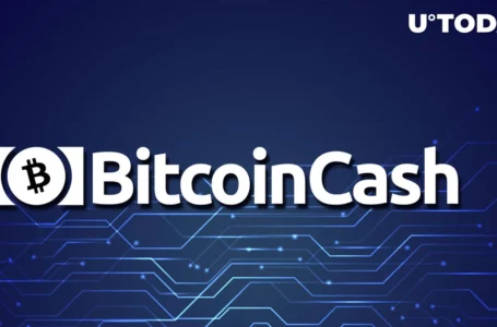 Bitcoin Cash (BCH) to Receive Key Upgrade: Details
