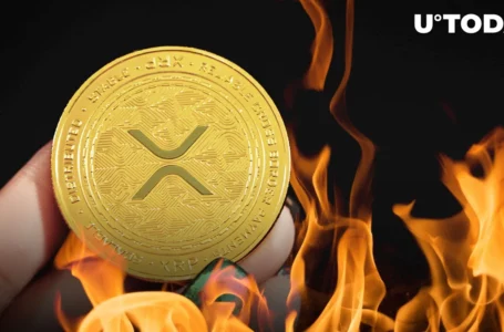 Ripple Could Burn Their XRP Right Now: Former Executive