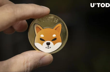 Shiba Inu Red Alert: 80% of SHIB Holders Suffer Losses