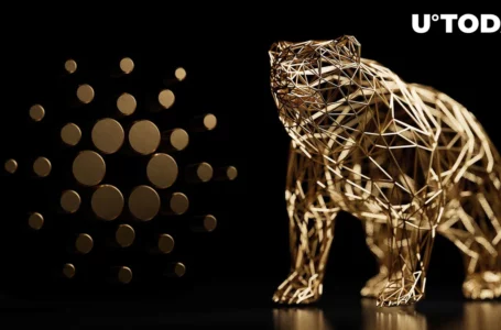 Cardano (ADA) Is Bearish, Suggest Majority of On-Chain Indicators