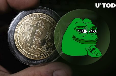 Pepe, New Meme Coin on the Block, May Signal Trouble for Bitcoin