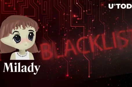 Top 3 Holders of LADYS Token Blacklisted