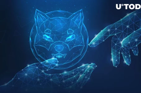 Shiba Inu: Fresh Insights on ‘SHIB The Metaverse’ to Be Revealed in Upcoming Twitter Space