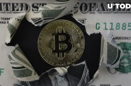 Massive Bitcoin Withdrawal: $800 Million Vanishes from Exchanges