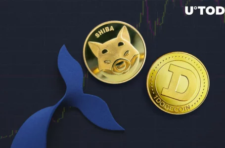Fifth Largest Shiba Inu (SHIB) and Dogecoin (DOGE) Whale Is Same Person: Here’s Who
