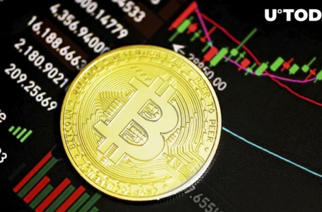 Bitcoin (BTC) Might Face Plunge to $24,000 If This Level Breaks