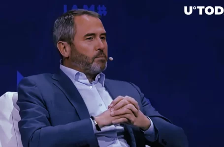Ripple CEO Incredibly Bullish on Company’s Trajectory Despite Crypto Winter