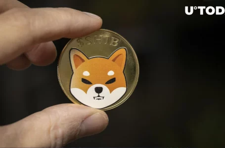 SHIB Cold Wallet Will Not Be Built on Ledger – Great Choice, SHIB Member Team Says