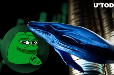 BlackRock Fund Showed to Be PEPE Whale, Community Reacts
