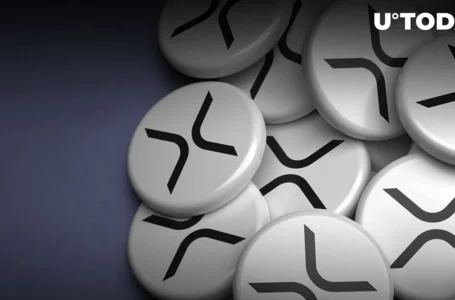 We’re Starting to Grow Our XRP Custodian Business: PolySign CEO