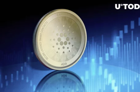 ADA Whales Unleash Chaos on Cardano Network: Details