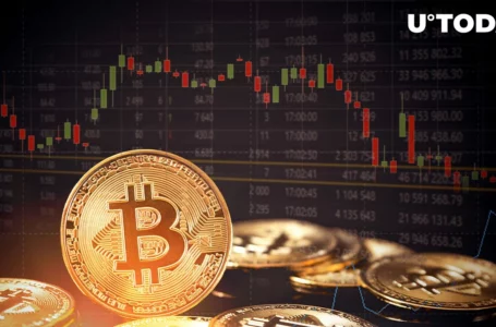 Bitcoin Drops 3%, Here’s What Preceded This Fall
