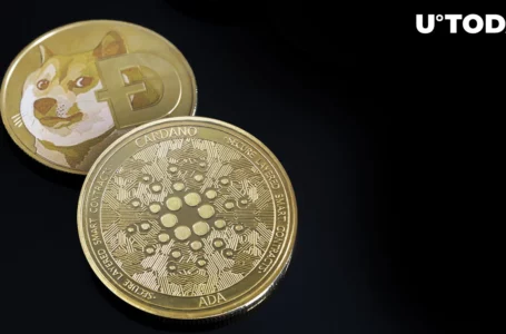 Cardano (ADA) and Dogecoin (DOGE) New Products Listed by Major Exchange