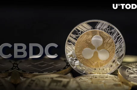 Ripple’s CBDC Platform to Be Used by Four Countries: Details