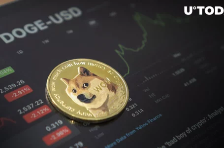 Dogecoin (DOGE) Dev Sheds Light on Recent Network Activity Surge