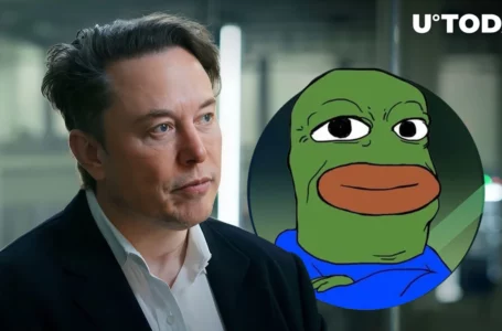 Elon Musk’s Tweet Sends BOB up 43%: Here’s What You Missed