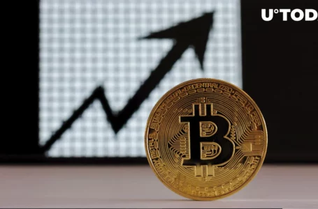 Bitcoin (BTC) Might Go to $25K or $29K If This Chart Pattern Breaks