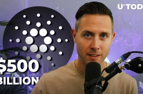 ADA to Reach $500 Billion Market Cap, Crypto Capital Venture Founder Believes