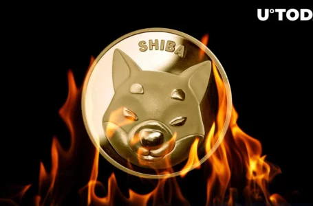 Shibarium Reveals SHIB Burn Mechanism, Thrilling Shiba Inu Community