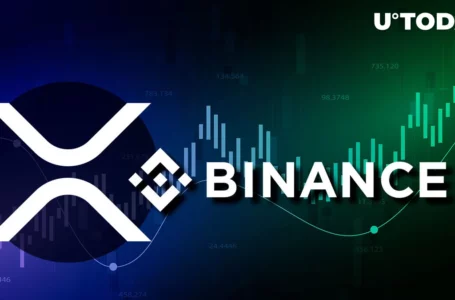 Massive XRP Shifted to Binance as Price Trades in Green: Details