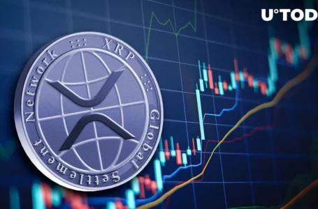 XRP Up 10% in Week: Most Profitable Among Largest Cryptos