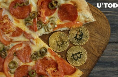 Bitcoin Price on Pizza Day: Nostalgic Review from 2010 to 2023