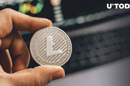 Litecoin (LTC) Shows Biggest Growth in Last 12 Years