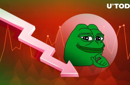 Red Is New PEPE Color, Is Meme Coin Insanity Fading Away?