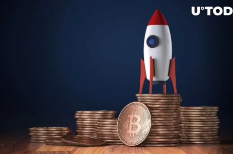 Bitcoin Ready to Soar, According to Glassnode Co-Founder