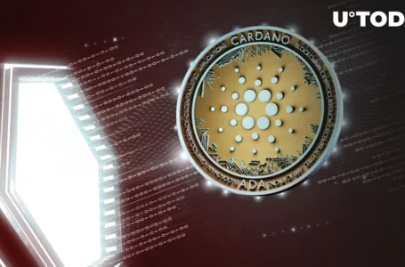 Cardano Network Faces Major Problem, Swaps Take 30 Minutes